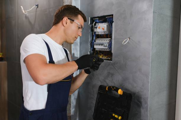 Best Electrical Rewiring Services  in Belleville, MI